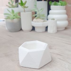 Geometric plant pot